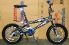 Freestyle Bike