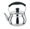 steel kettle