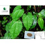 Epimedium grandiflorum(sales05@3wbio.com)