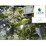 Ligustrum Lucidum(sales05@3wbio.com)