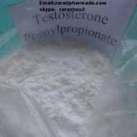 Testosterone phenylpropionate steroid hormone powder