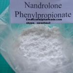 China Nandrolone Phenylpropionate high quality &discreet package&delivery guaranteed steroid powders