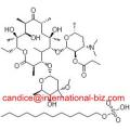 Erythromycin estolate