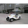 Custome electric car