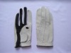 golf glove