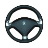 steering wheel mould