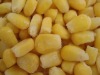 frozen sweet corn