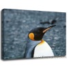 Penguin canvas painting