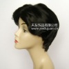 DJ8561-lady customer wig,fashion hair,synthetic hair