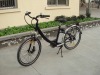 electric bicycle