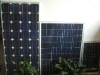 Solar module