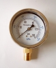 Liquid Filled Gauge