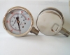 stainless steel pressure Gauge