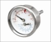 Thermometer pressure gauge