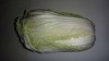 2012 New crop chinese cabbage price