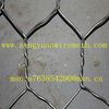 galvanized/PVC coated gabion box