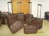 Fashion Trolly Luggage / Travel Trolly Luggage