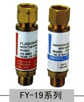 Flashback Arrestor (FY-19)