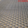 1Cr18Ni9 Hexsteel mesh for fixing refactory materials