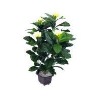 Plumeria Acutifolia artificial potted