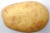 chinese potato