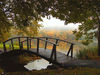 beautiful garden wooden bridge