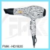 Professional AC Hair Dryer