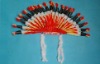 HEADDRESS