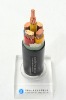 Power Cable