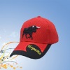 embroidered baseball cap