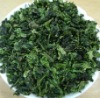 organic oolong tea