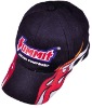 promotional  cap/ sport cap/ 6 panels cap/cap/hat