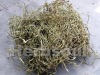 White Willow Bark Extract