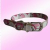 pet collar, dog collar, cat collar, pet products