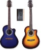 Acoustic Guitar-string instrument-musical instrument