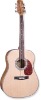 Acoustic Guitar-string instrument-musical instrument