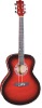 Acoustic Guitar-string instrument-musical instrument