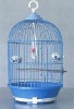 plastic bird cage