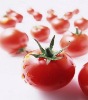 Lycopene