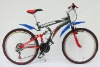 mountain bicycle mountain bike