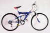 mountain bicycle mountain bike