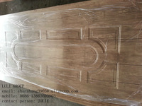 MELAMIEN moulded door skin