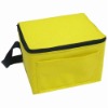 Insulated Cooler bag