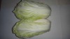 2012 New crop chinese cabbage price