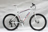 X-TASY 24 Speed Cheap Mountain Bikes For Sale 3H-SNAKE