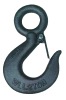 eye hoist hook