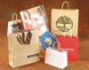 Fashion Kraft Paper Bag