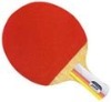 ping-pong paddle