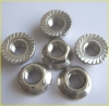 stainless steel Flange Nuts