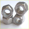 Stainless Lock Nuts